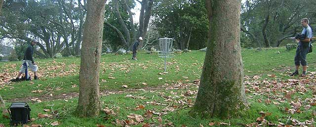 Disc Golf New Zealand